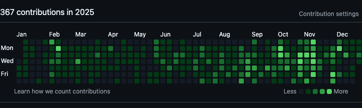 2025 Reflection: Software Engineer at a Consulting Agency