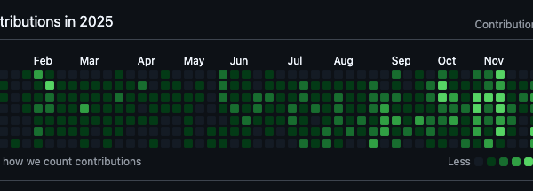 2025 Reflection: Software Engineer at a Consulting Agency