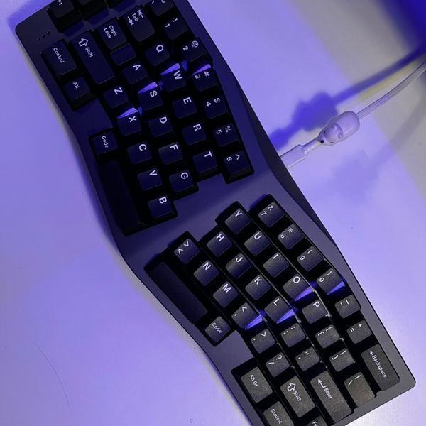 neo ergo